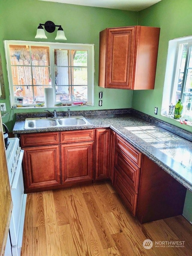 kitchen featuring sink, light hardwood / wood-style floors, plenty of natural light, and white appliances