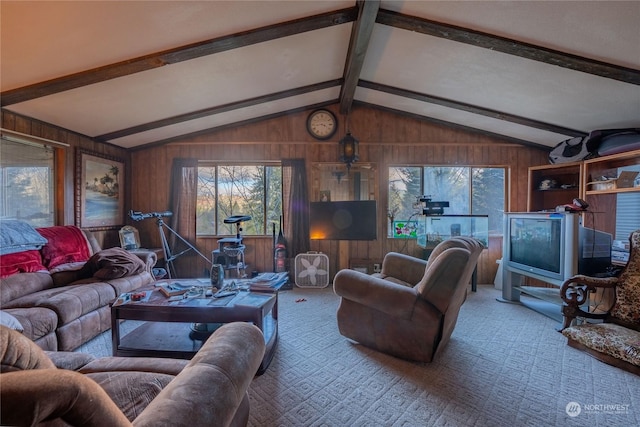225 Magnus Rd, Onalaska, WA 98570 - carpeted living room featuring wooden walls