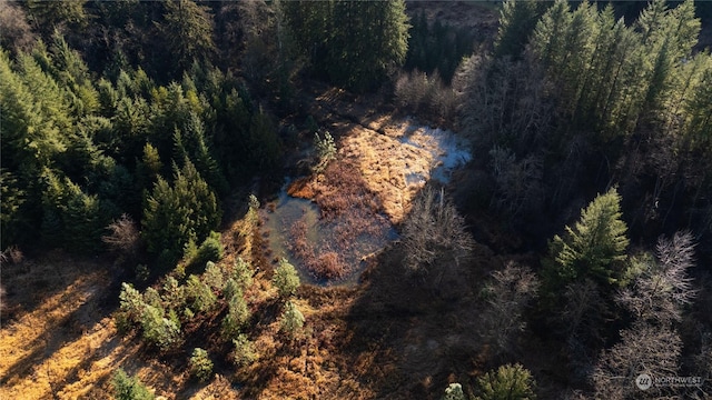 225 Magnus Rd, Onalaska, WA 98570 - bird's eye view of a forest