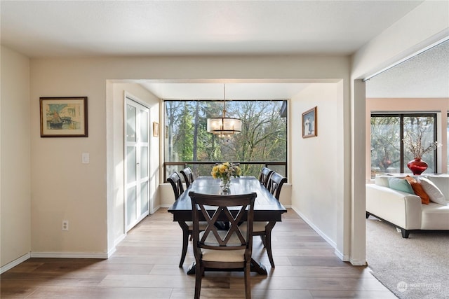 dining space with a healthy amount of sunlight and light hardwood / wood-style flooring