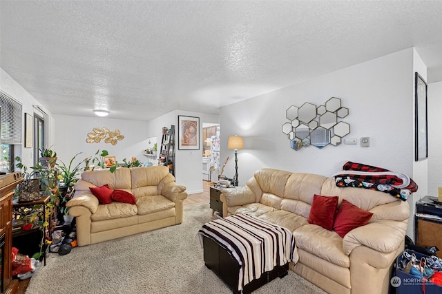 17305 Stone Ct N, Shoreline, WA 98133 - carpeted living room featuring a textured ceiling