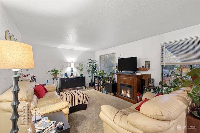 living room with carpet flooring and a textured ceiling