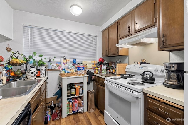 17305 Stone Ct N, Shoreline, WA 98133 - kitchen featuring white range with electric cooktop, under cabinet range hood, light wood-type flooring, black dishwasher, and light countertops