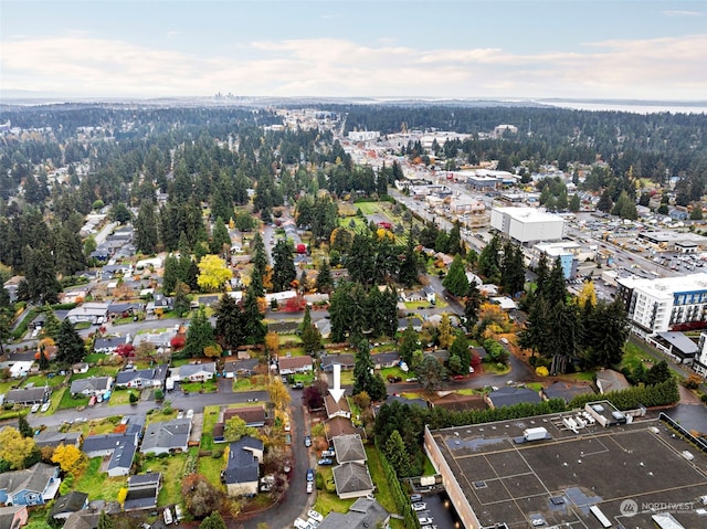 17305 Stone Ct N, Shoreline, WA 98133 - aerial view of property's location