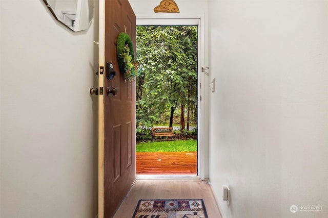 doorway featuring light hardwood / wood-style flooring