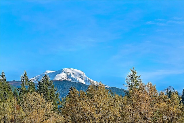 view of mountain feature