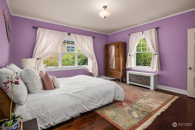 bedroom with radiator, dark wood-type flooring, and multiple windows