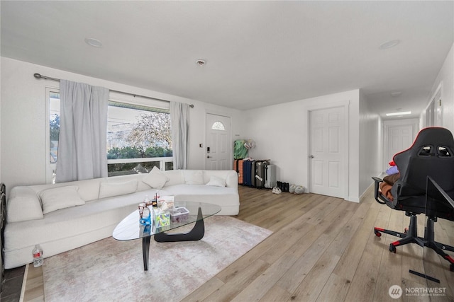 living area featuring wood-type flooring