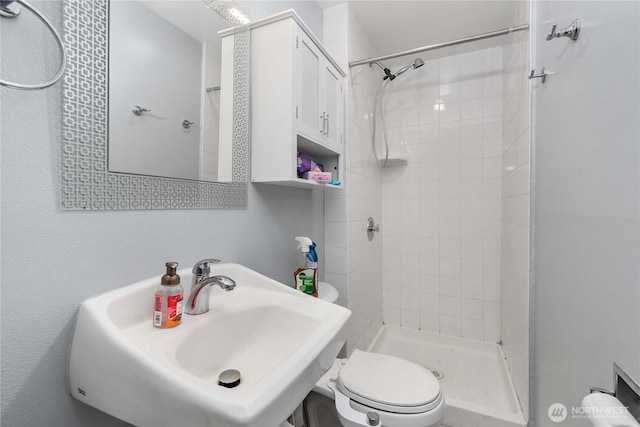 full bathroom with a sink, a shower stall, and toilet