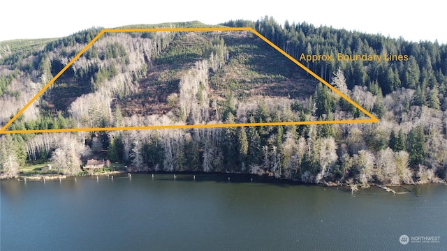 0 E Lake Pleasant Rd, Beaver WA, 98305 land for sale