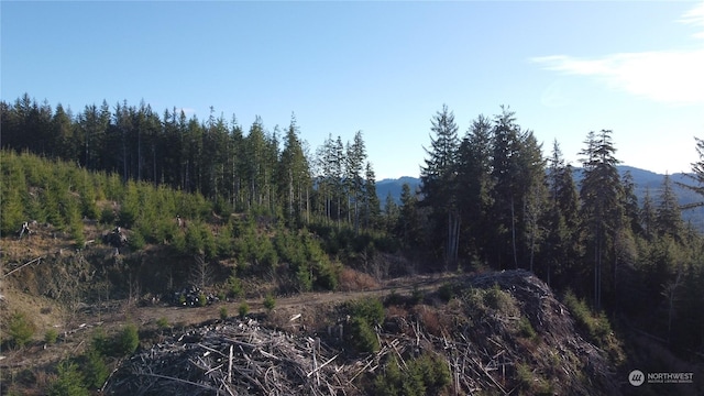 Listing photo 2 for 0 E Lake Pleasant Rd, Beaver WA 98305