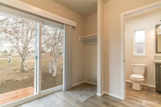 interior space featuring light hardwood / wood-style floors and a wealth of natural light