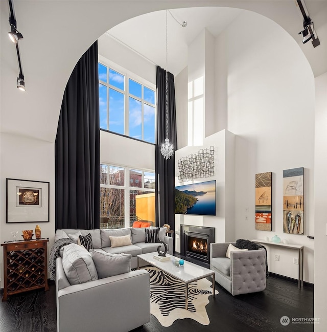 living room with dark hardwood / wood-style floors, rail lighting, and a high ceiling