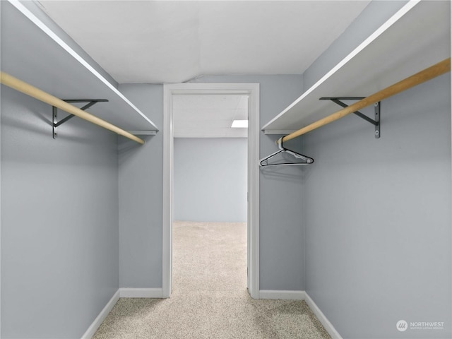 walk in closet featuring carpet