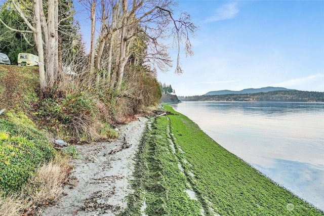 3053 Haxton Way, Bellingham, WA 98226 - photo 1