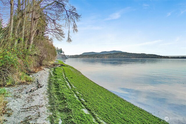 3053 Haxton Way, Bellingham, WA 98226 - photo 5