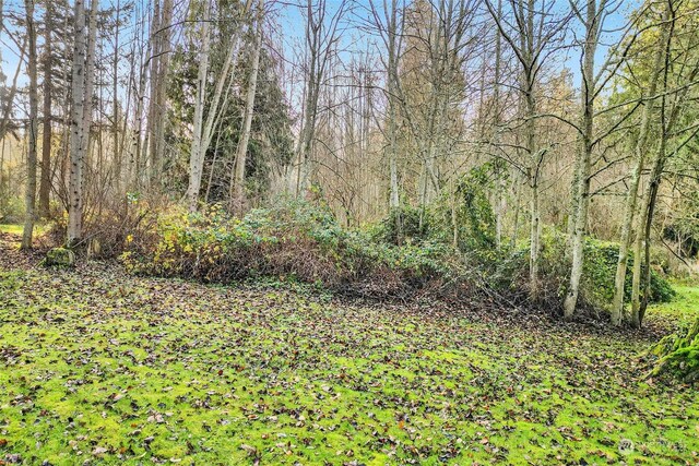 3053 Haxton Way, Bellingham, WA 98226 - photo 7