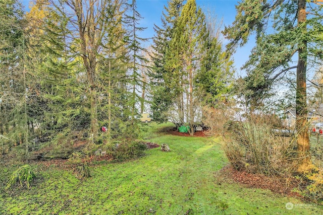 3053 Haxton Way, Bellingham, WA 98226 - photo 8
