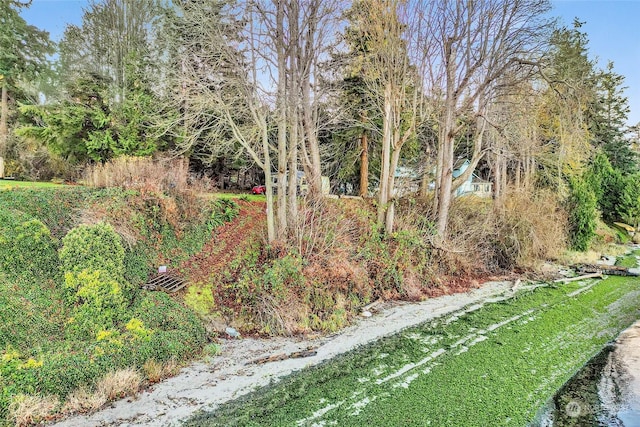 3053 Haxton Way, Bellingham, WA 98226 - photo 11