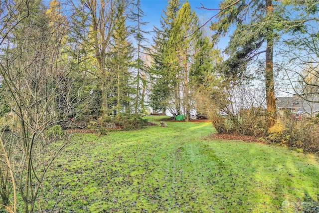 3053 Haxton Way, Bellingham, WA 98226 - photo 15