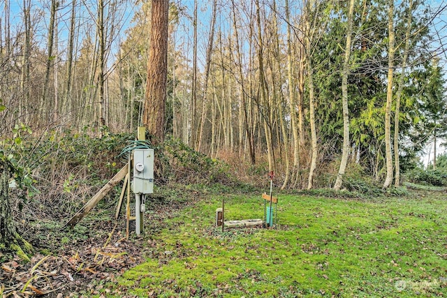 3053 Haxton Way, Bellingham, WA 98226 - photo 17