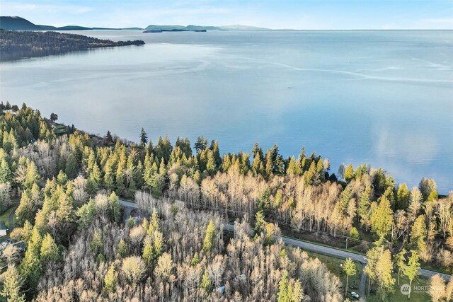 3053 Haxton Way, Bellingham, WA 98226 - photo 20