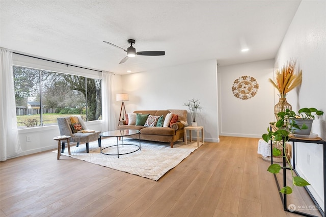 living room featuring ceiling fan and light hardwood / wood-style floors