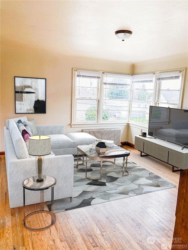 living room with radiator heating unit and light hardwood / wood-style floors