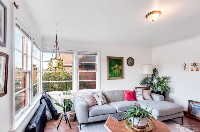 living room with hardwood / wood-style floors