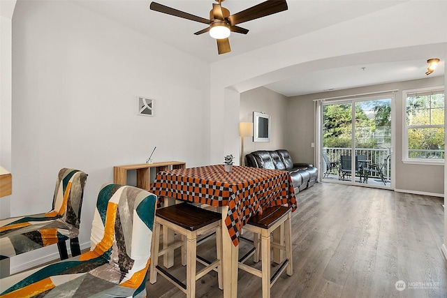 dining room featuring ceiling fan and hardwood / wood-style floors