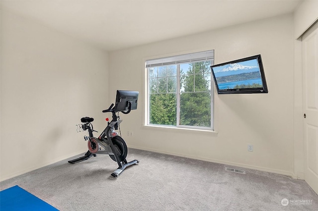 workout room featuring carpet