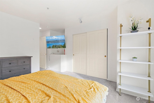 bedroom featuring light carpet and a closet