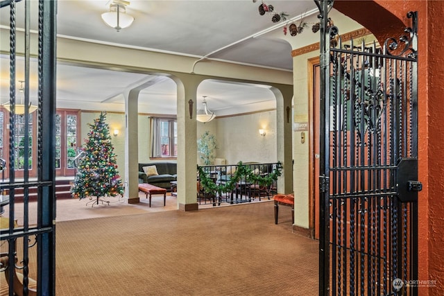 interior space featuring crown molding and carpet floors