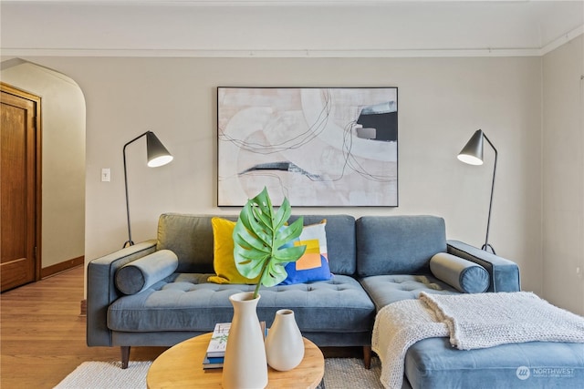 living room featuring hardwood / wood-style floors and crown molding