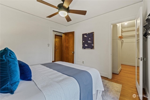 bedroom with a walk in closet, ceiling fan, a closet, and light hardwood / wood-style floors