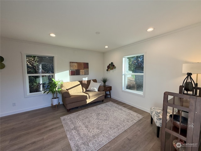 living room featuring dark hardwood / wood-style flooring and crown molding