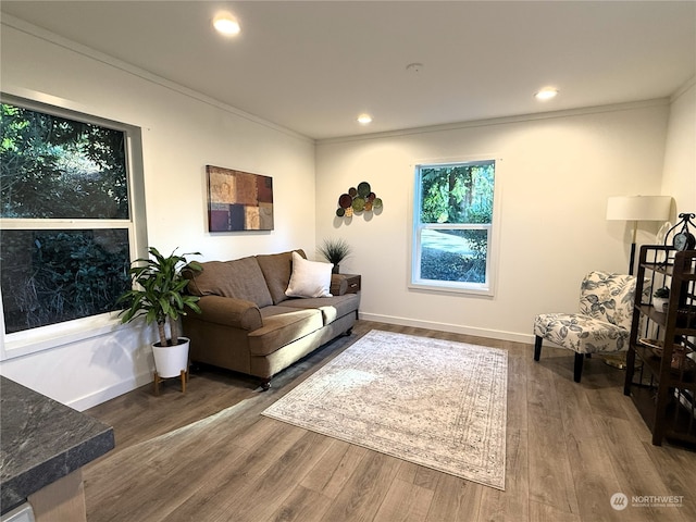 living room featuring dark hardwood / wood-style flooring and crown molding