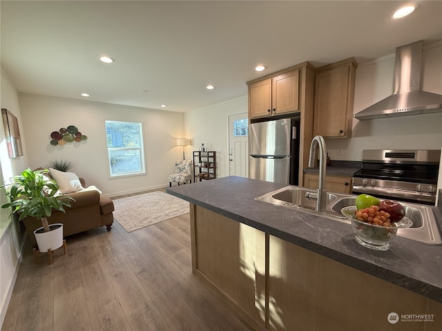 kitchen with hardwood / wood-style floors, appliances with stainless steel finishes, wall chimney range hood, sink, and crown molding