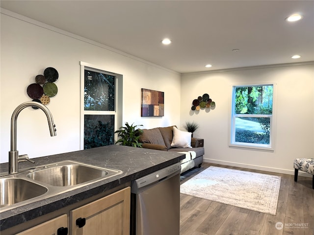 kitchen with crown molding, stainless steel dishwasher, dark hardwood / wood-style floors, and sink