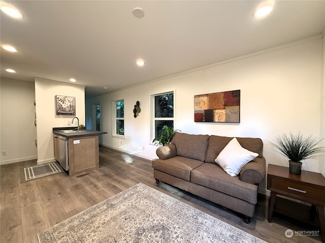 living room featuring dark hardwood / wood-style floors, sink, and crown molding