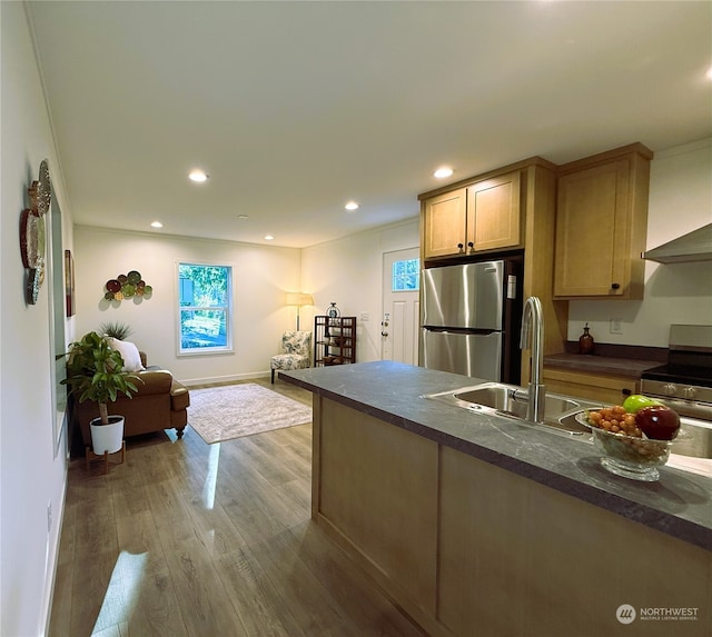 kitchen with appliances with stainless steel finishes, crown molding, wood-type flooring, and sink