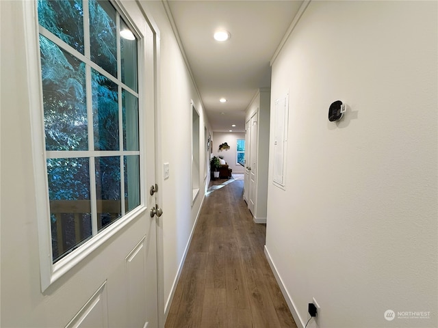 hall featuring dark wood-type flooring and crown molding