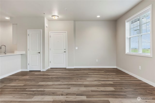 spare room with sink and wood-type flooring