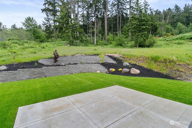 view of yard with a patio area