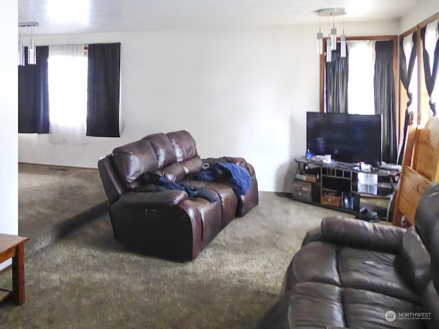 living room featuring carpet flooring