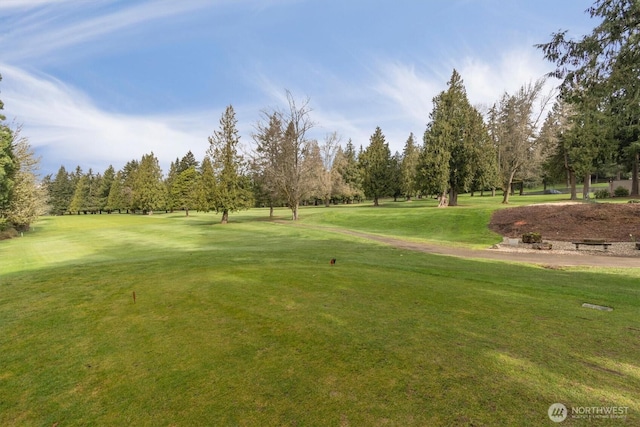 view of property's community featuring a lawn