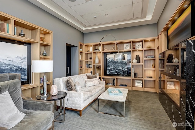 living area with a raised ceiling