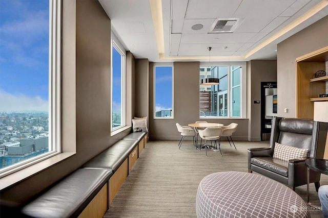 sitting room featuring a raised ceiling, light colored carpet, and plenty of natural light