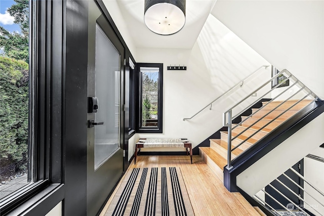 entryway featuring wood-type flooring