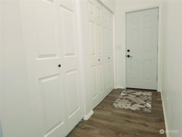 doorway with dark hardwood / wood-style flooring